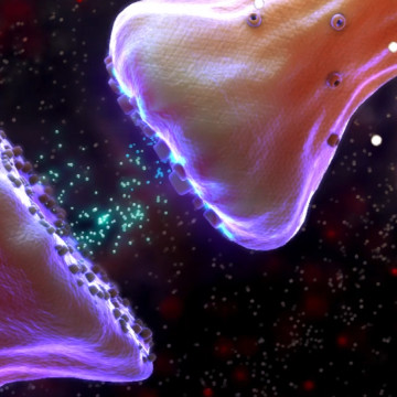 $4.25M Settlement: Animating How Lead Poisoning Damaged Child’s Central Nervous System