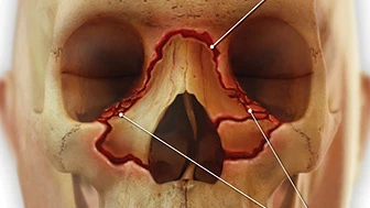Medical Illustrations