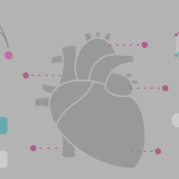 Data visualizations