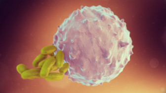 Mercury and Its Effects on the Body