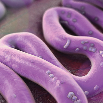 Animation still showing preeclampsia