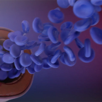 Medical animated still showing arterial blood flow