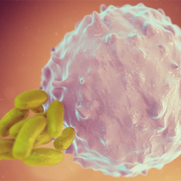 Animation still showing molecule