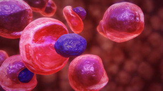 $2.1M Verdict: Breathing Tube Placed in Stomach Asphyxiates Mother and Infant