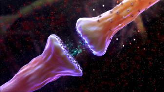 $4.25M Settlement: Animating How Lead Poisoning Damaged Child’s Central Nervous System