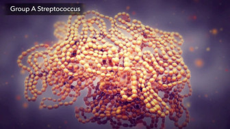 Bacterial Infection Treatment