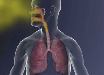 Popcorn Dust (Diacetyl) Inhalation: Pulmonary Disease