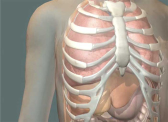 Thoracostomy – Proper Procedure