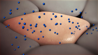 Effects and Mechanism of Action