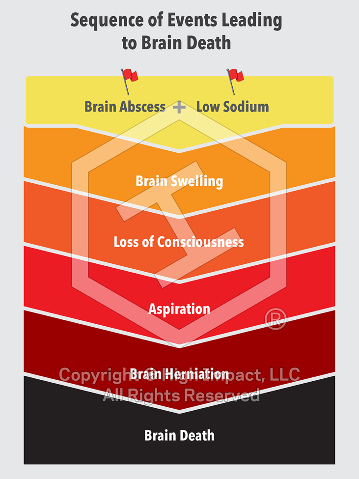 Showing Process and Change: How Timelines & Flowcharts Communicate Data