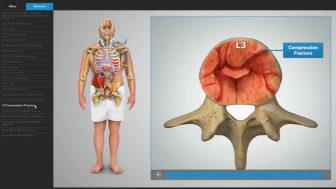 Digital Summary of Injuries