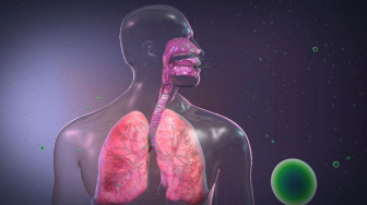 Normal Respiratory Physiology