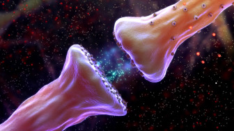 Cellular Mechanism of Lead Injury