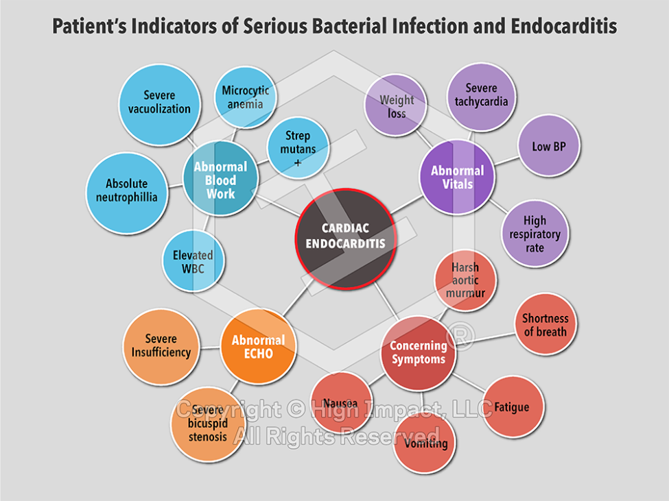 The Power of Organization: Using Data Visualization to Organize Your Case Details