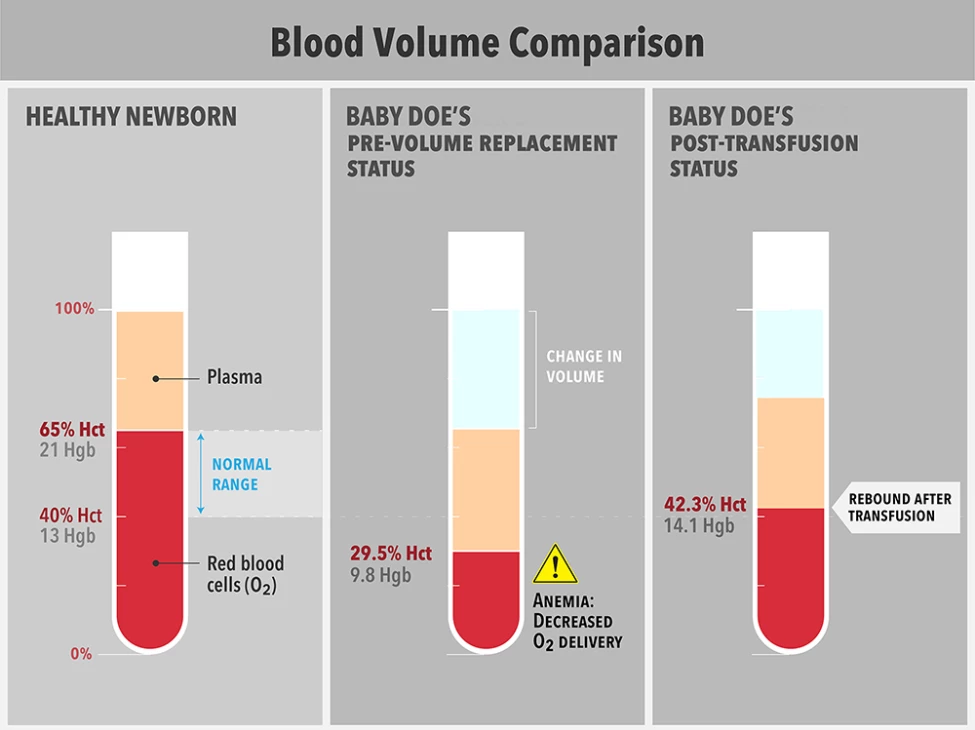 Using Visual Data to Compare & Contrast the Evidence in Your Cases