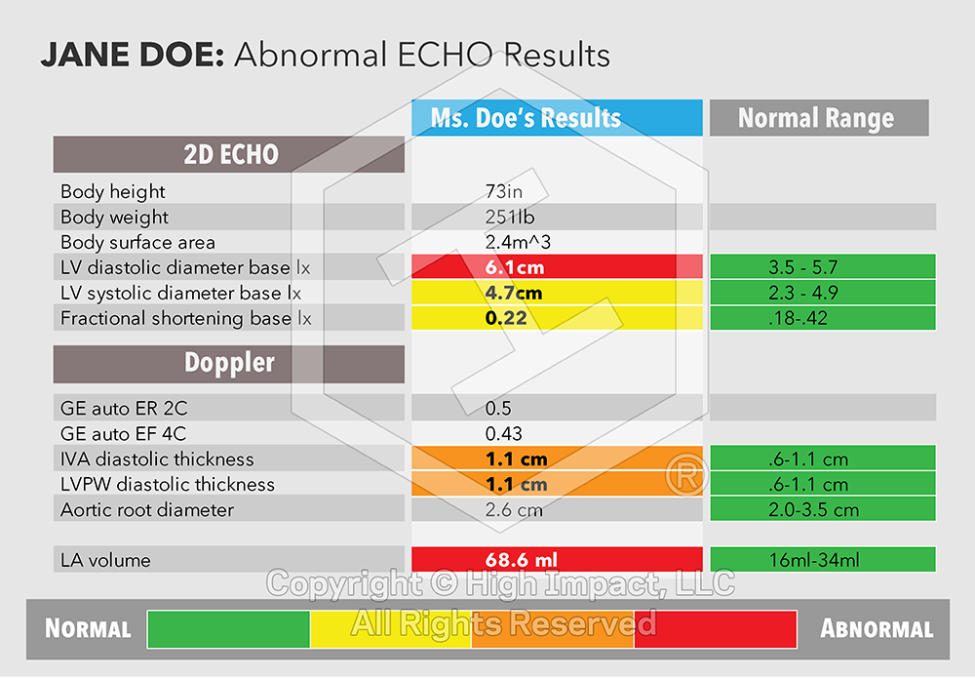 The Power of Organization: Using Data Visualization to Organize Your Case Details