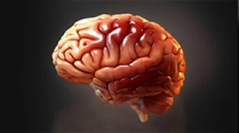 Traumatic Brain Injury Animation