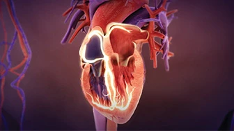 Enhancing Trials with Engaging Animations and Illustrations