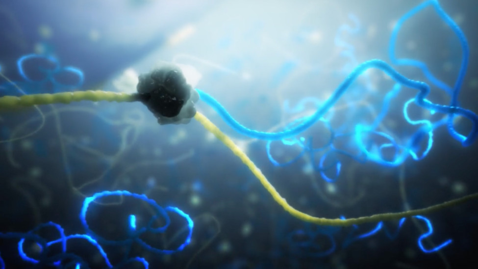 5 Facts You Didn’t Know About Medical Illustrations