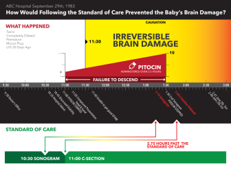Timeline of Infant Brain Damage