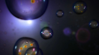 Work Environment - Inhalation Injury